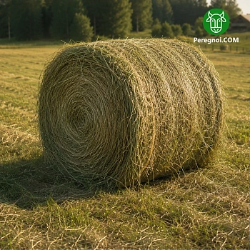 Сено рулон 300 кг.